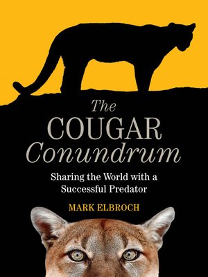 cover image of The Cougar Conundrum
